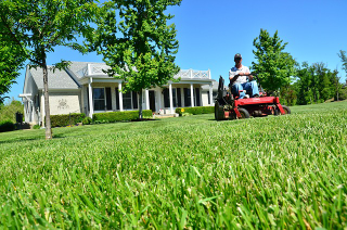 Illustration for article titled 4 Reasons to Hire a Lawn Service